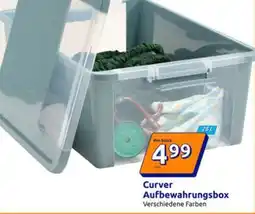 Action CURVER Aufbewahrungsbox Angebot