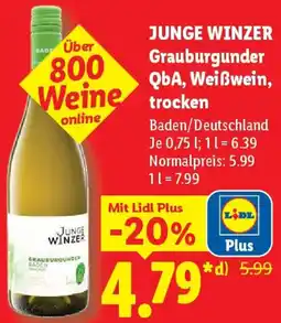 Lidl JUNGE WINZER Grauburgunder QbA, Weißwein, trocken Angebot