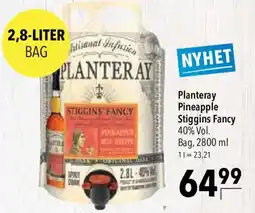 CITTI Markt Planteray Pineapple Stiggins Fancy Angebot