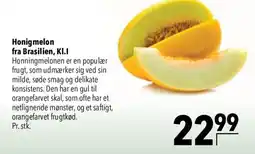 CITTI Markt Honigmelonen Angebot