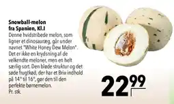 CITTI Markt Snowball-melon fra Spanien, Kl.I Angebot