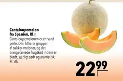CITTI Markt Cantaloupe melon Angebot