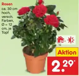 Netto Marken-Discount Rosen Angebot