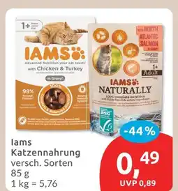 Budni Iams katzennahrung Angebot
