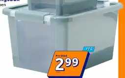 Action Aufbewahrungsbox Angebot