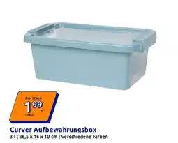 Action Curver aufbewahrungsbox Angebot