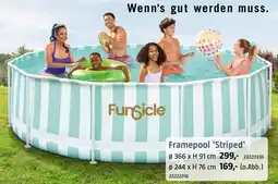 Bauhaus Framepool 'Striped' Funsicle Angebot