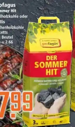 Klaas und Kock proFagus DER SOMMER HIT Angebot