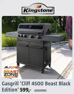 Bauhaus Kingstone Cliff 4500 Beast Black Edition Angebot