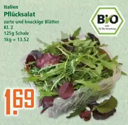 Klaas und Kock Italien Pflücksalat Angebot