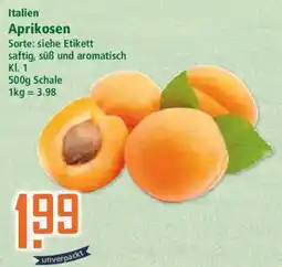Klaas und Kock Aprikosen Angebot