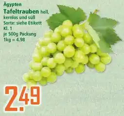 Klaas und Kock Ägypten Tafeltrauben hell, kernlos und süß Angebot