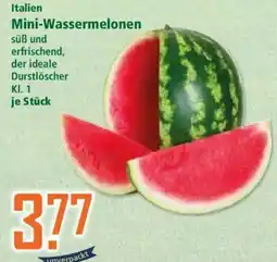Klaas und Kock Italien Mini-Wassermelonen Angebot