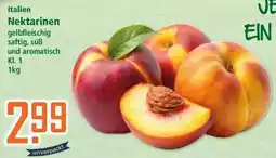 Klaas und Kock Italien Nektarinen Angebot
