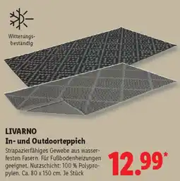 Lidl LIVARNO In- und Outdoorteppich Angebot