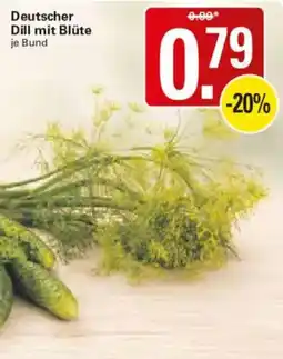 WEZ Deutscher Dill mit Blüte Angebot