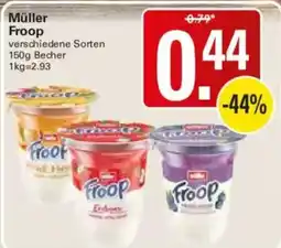 WEZ Müller Froop Angebot