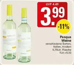 WEZ Pasqua Weine Angebot