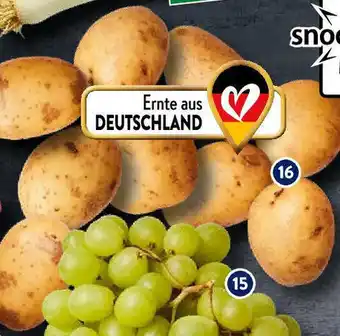 Aldi Süd Speisekartoffeln, Festkochend 2.5-kg-Beutel Angebot