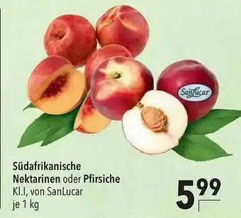 CITTI Markt Südafrikanische Nektarinen Oder Pfirsiche Angebot