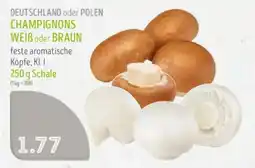 Edeka Struve CHAMPIGNONS Angebot