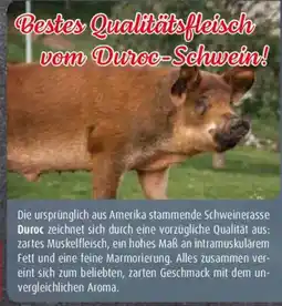 Markant Qualitätsfleisch vom Duroc-Schwein Angebot