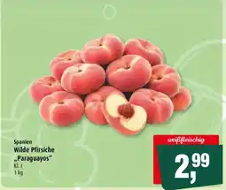 Markant Wilde Pfirsiche "Paraguayos" Angebot