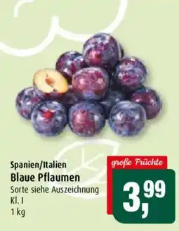 Markant Blaue Pflaumen Angebot