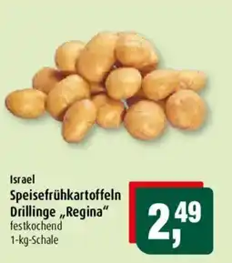 Markant Drillinge "Regina" Angebot