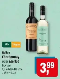 Markant Italien Chardonnay oder Merlot Angebot