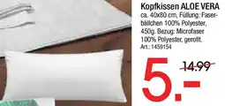 Zurbrüggen Billerbeck kopfkissen aloe vera Angebot