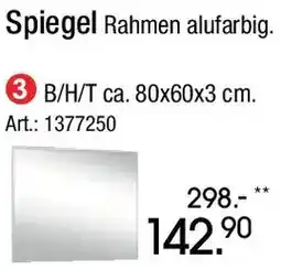 Zurbrüggen Spiegel Angebot