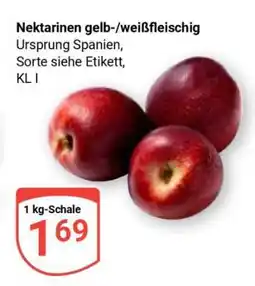 Globus Nektarinen gelb-/weißfleischig Angebot