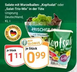 Globus Kopfsalat Angebot