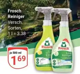 Globus Frosch Reiniger Angebot