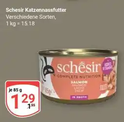 Globus Schesir Katzennassfutter Angebot