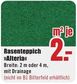 B1 Discount Baumarkt Rasenteppich »Alteria« Angebot