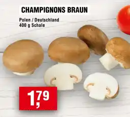 Handelshof CHAMPIGNONS BRAUN Angebot
