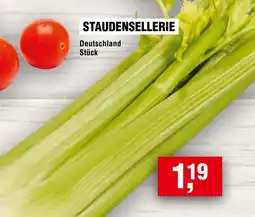 Handelshof Staudensellerie Angebot