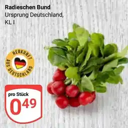 Globus Radieschen Bund Angebot