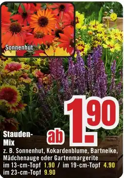 B1 Discount Baumarkt Stauden-Mix Angebot