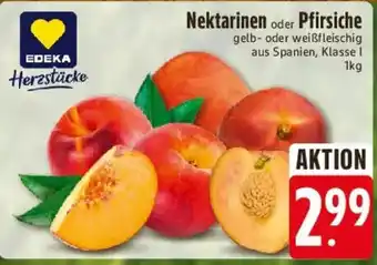 Edeka Nektarinen oder Pfirsiche Angebot