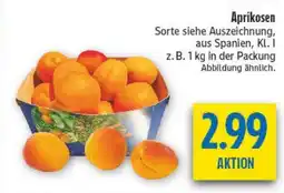 diska Aprikosen Angebot