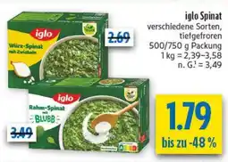 diska iglo Spinat Angebot