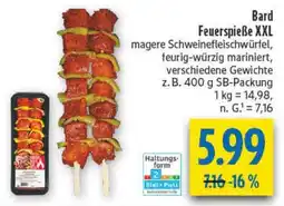 diska Bard Feuerspieße XXL Angebot