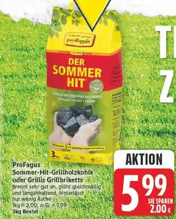 E-Center Profagus sommer-hit-grillholzkohle oder grillbriketts Angebot