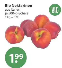 V Markt Bio nektarinen Angebot