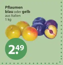 V Markt Pflaumen Angebot