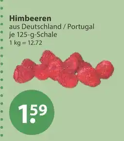 V Markt Himbeeren Angebot