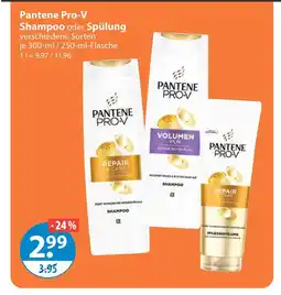 V Markt Pantene pro-v shampoo oder spülung Angebot